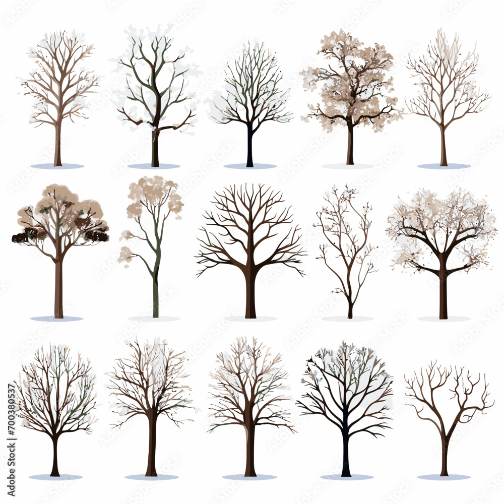 Obraz premium Vector winter bare tree collection