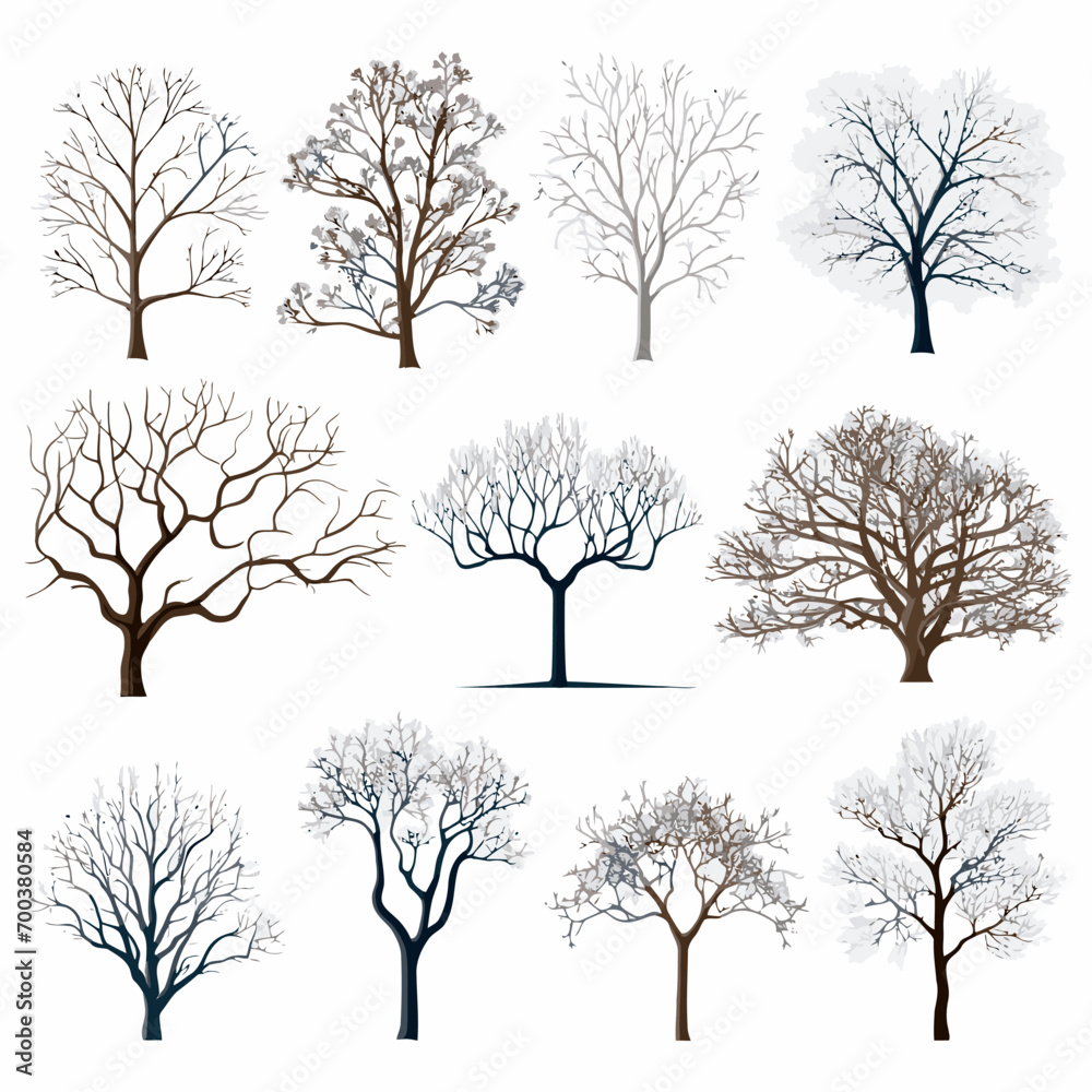 Obraz premium Vector winter bare tree collection