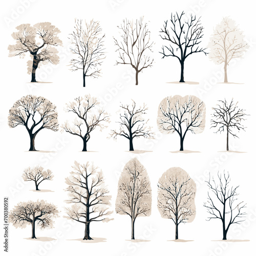 Vector winter bare tree collection photo