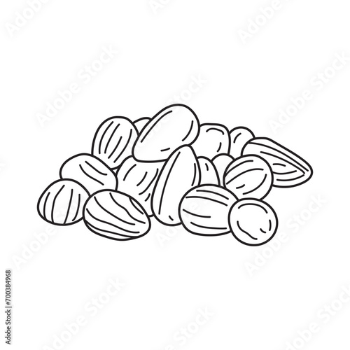 Hand drawn Kids drawing vector Illustration bunya nuts in a cartoon style Isolated on White Background