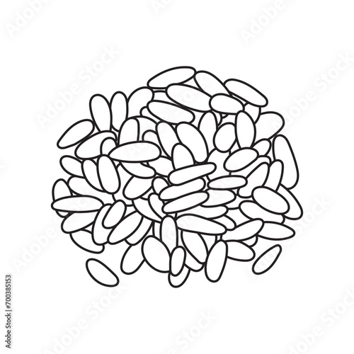 Hand drawn Kids drawing vector Illustration pine nuts in a cartoon style Isolated on White Background