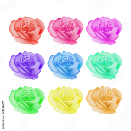 Vector colorful rose flowers isolated on white background