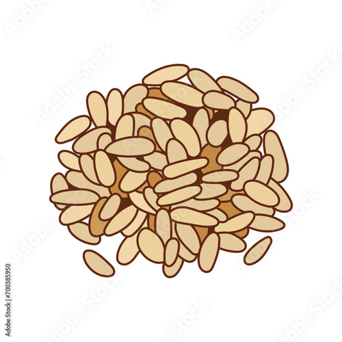 Kids drawing vector Illustration pine nuts in a cartoon style Isolated on White Background