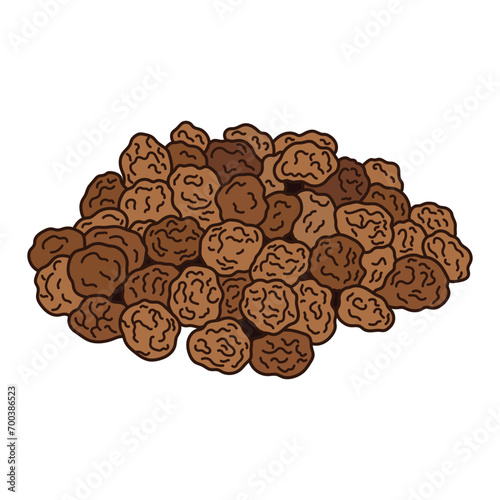 Kids drawing vector Illustration tiger nuts in a cartoon style Isolated on White Background