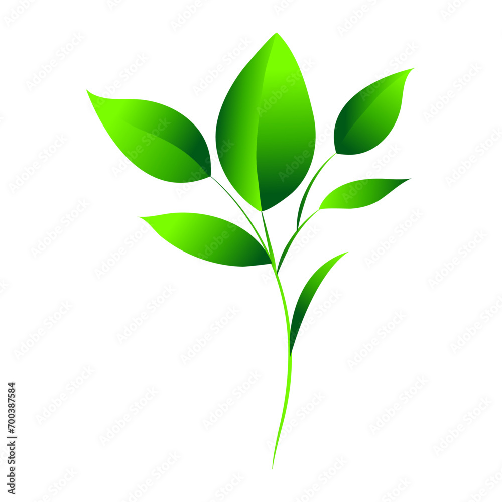 Vector elegant green leaves design on white background