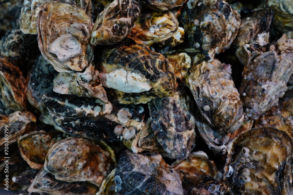 Obraz premium Ostras Frutos do Mar 