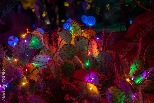 Christmas Lights on Cactus in the Desert Outside Multicolored Desert Holiday