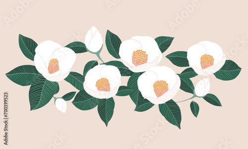 Tsubaki, White Camellia flower and leaves botanical painting. Vector illustration for Floral invitation card design.