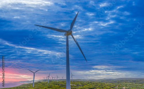 Obraz na płótnie Albany Wind Farm near the town of the same name in Western Australia. w salonie