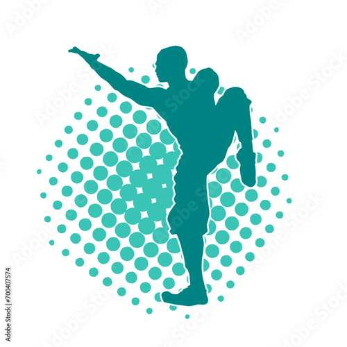 Silhouette of a man in oriental martial art pose. Silhouette of a male in martial art move.