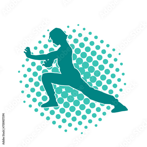 Silhouette of a man in oriental martial art pose. Silhouette of a male in martial art move.