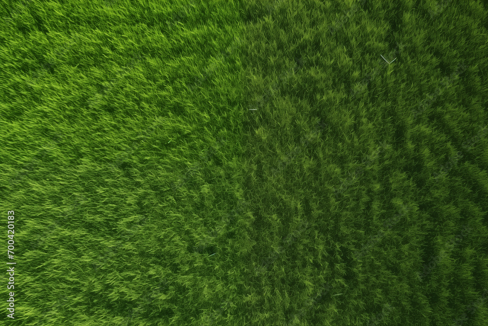 Overhead shot of green empty grass background Overhead shot of green empty grass background