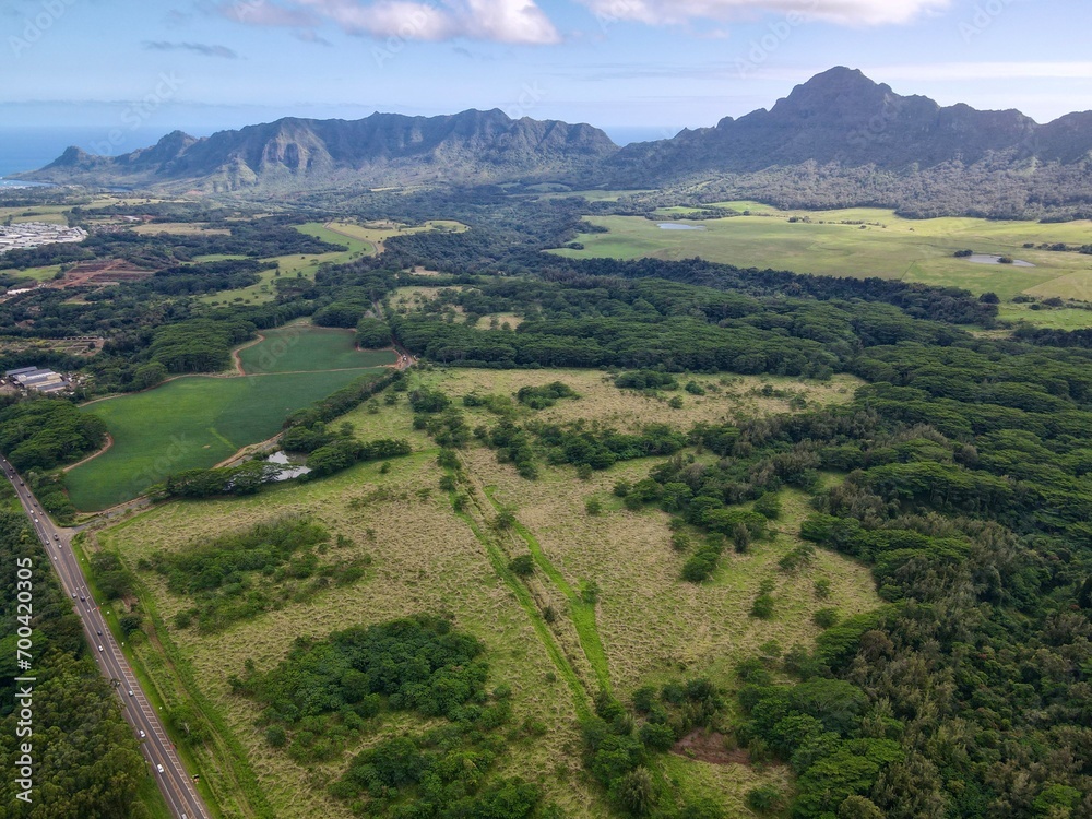 Aerial view of Kauai towards Haupu mountain