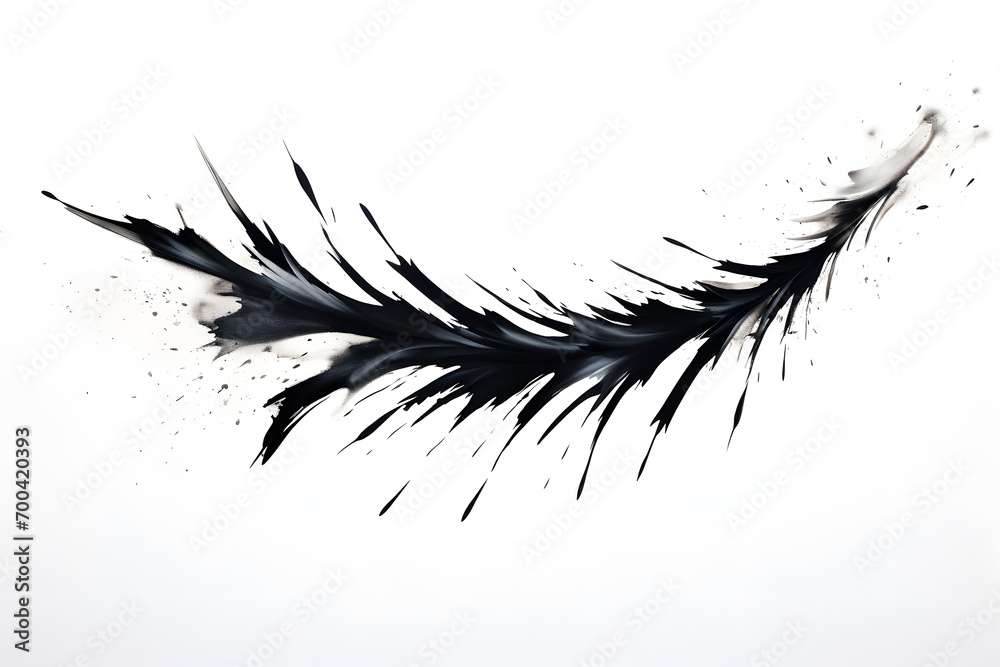 Fototapeta premium a stroke of ink splash
