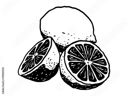 LEMON FRUIT HANDDRAWN ILLUSTRATION