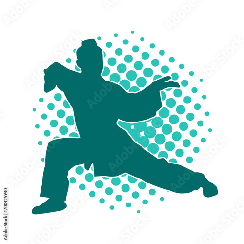 Silhouette of a woman in oriental martial art pose. Silhouette of a female in martial art move.