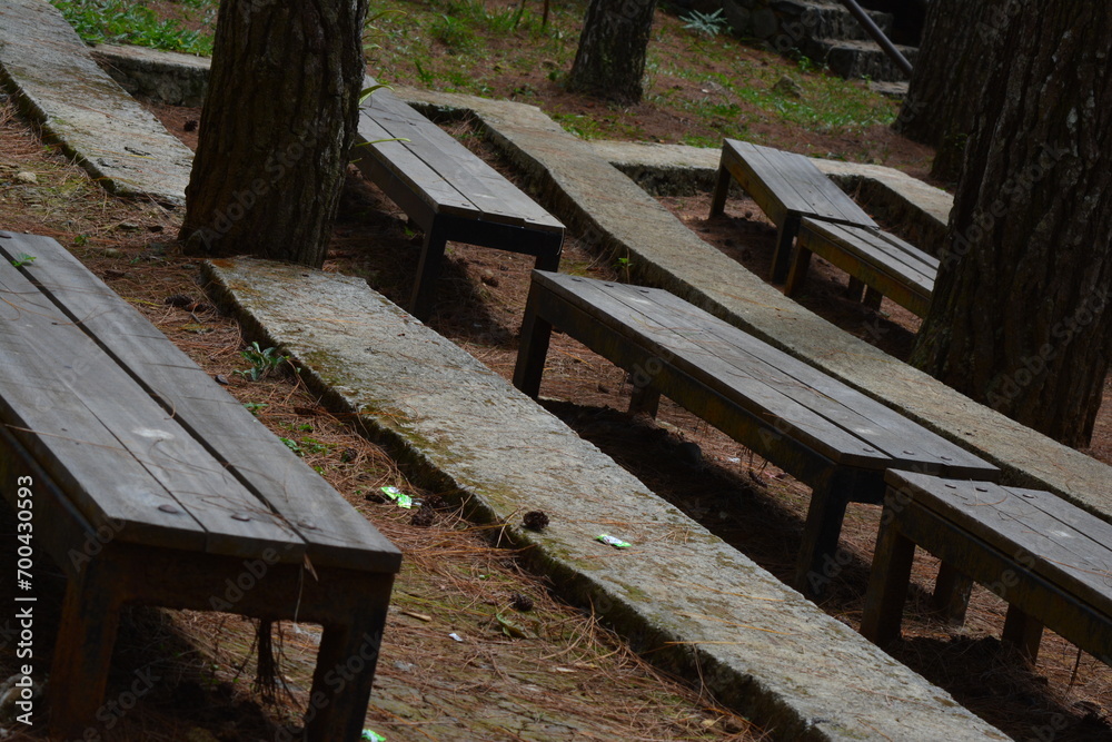 photo of benches for a show in the middle of a pine forest photo of benches for a show in the middle of a pine forest