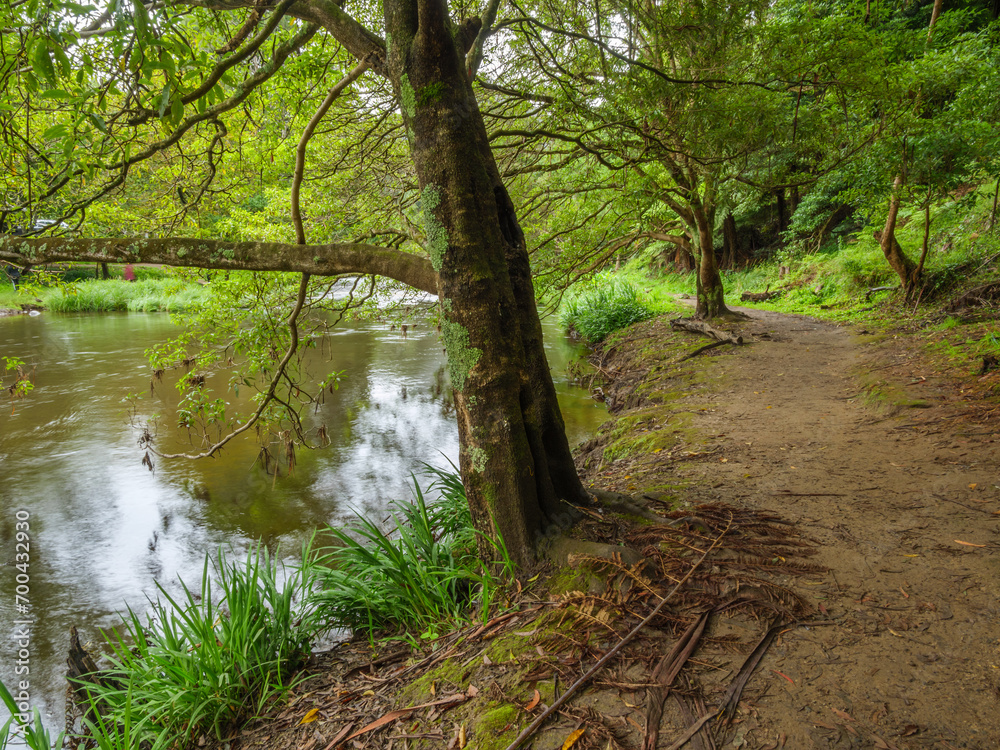 Riverside Trail Riverside Trail