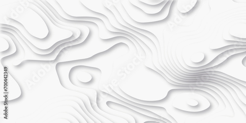 Abstract white paper cut background with lines. Background of the topographic map. White wave paper curved reliefs abstract background. Realistic papercut decoration textured with wavy layers.