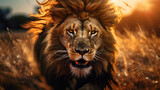 Lion head image, fierce and cool, illustration, Generate AI.