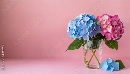 Hydrangea floral background with copy space for text. Mother's Day and Woman's Day greeting card.