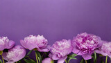 Peonies flowers background with copy space for text. Woman's Day and Mother's Day greeting card.