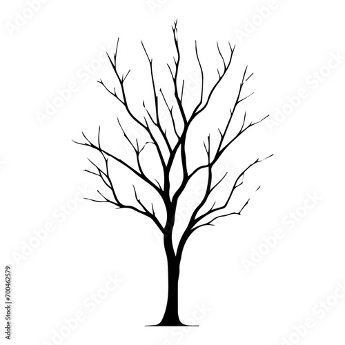minimal Naked Tree Silhouette vector silhouette  black color silhouette