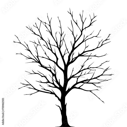 minimal Naked Tree Silhouette vector silhouette, black color silhouette