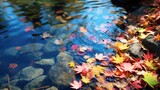 Colorful fall leaves in pond lake water