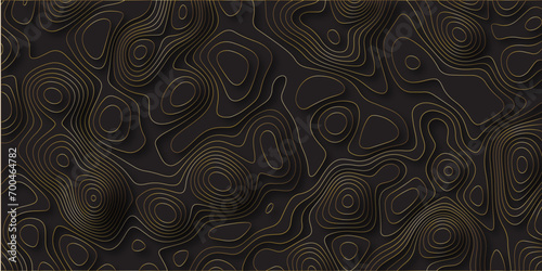 Abstract black background with golden gradient Topographic line map and shadows . Contour elevation topographic and textured Background Modern design White background with topographic wavy pattern .