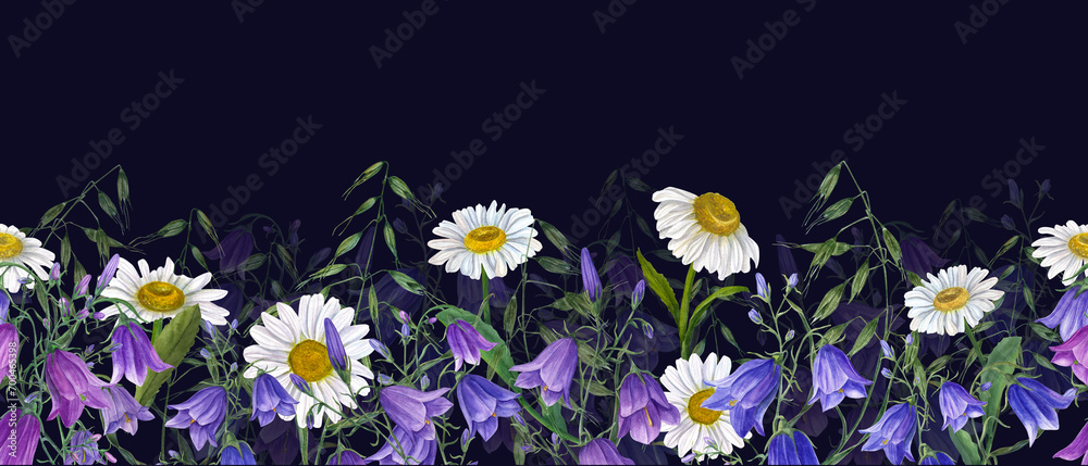 Floral seamless horizontal border with campanula, daisy. wild oats. Watercolor pattern on dark background. Panoramic illustration summer meadow flowers for fabric, textile, wrapping. - obrazy, fototapety, plakaty 