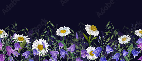 Floral seamless horizontal border with campanula, daisy. wild oats. Watercolor pattern on dark background. Panoramic illustration summer meadow flowers for fabric, textile, wrapping. photo