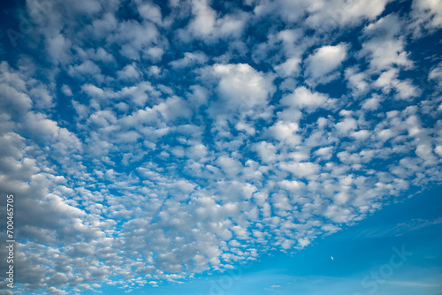 Looking up at a blue sky speckled with clouds, a soft background texture that evokes the outdoors. 