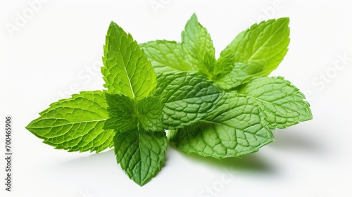 Mint Leaves on White Background. Leaf, Fresh, Cool
