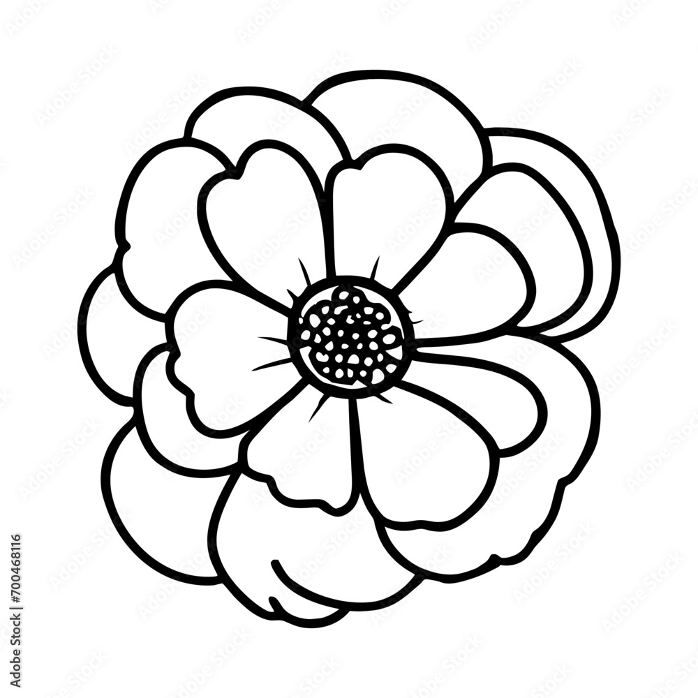 Hand drawn simple flower illustration Hand drawn simple flower illustration
