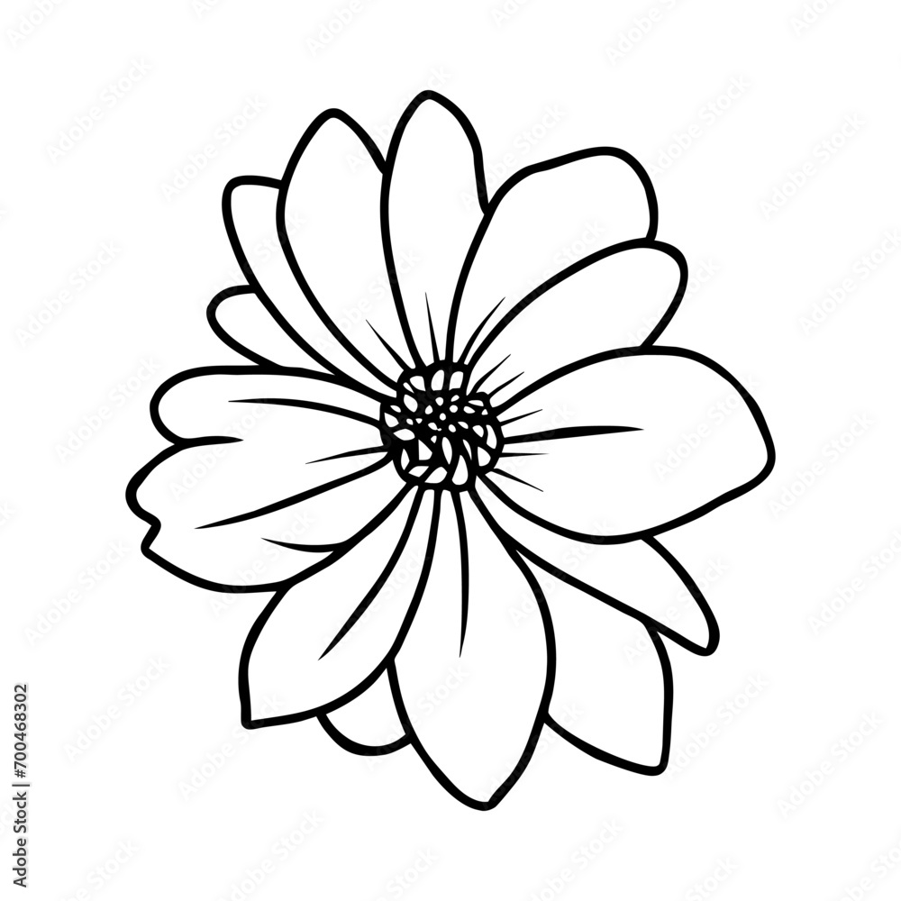 Hand drawn simple flower illustration Hand drawn simple flower illustration