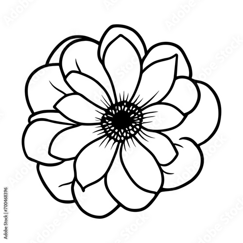 Hand drawn simple flower illustration