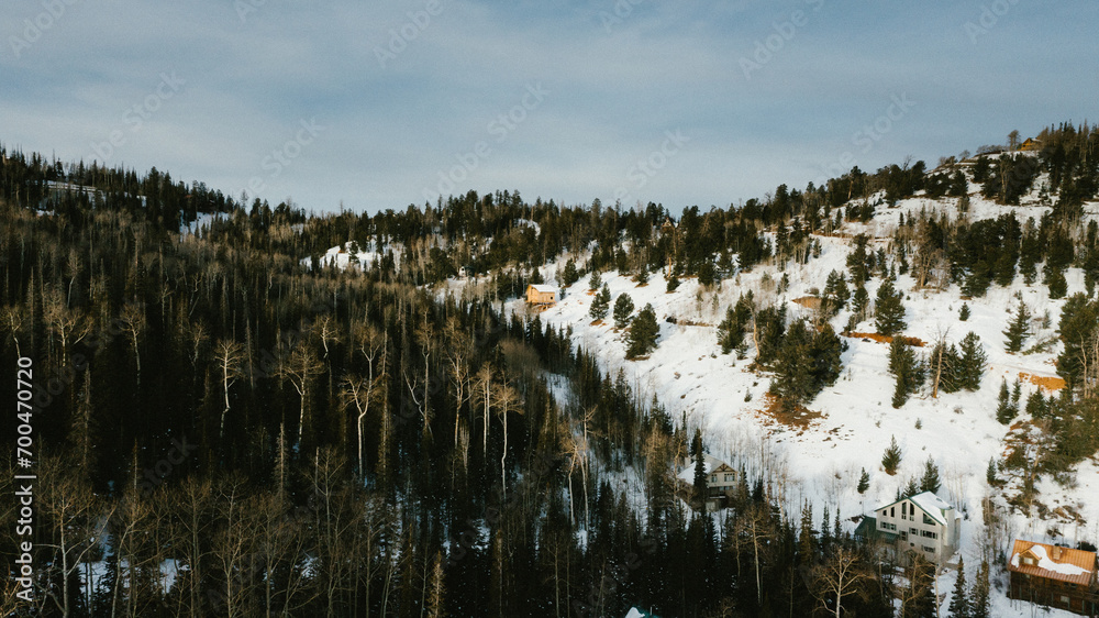 Αυτοκόλλητο Mountain side with forest, snow and hill and small cabins