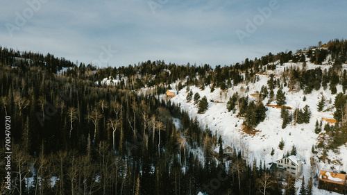 Obraz na plátně Mountain side with forest, snow and hill and small cabins