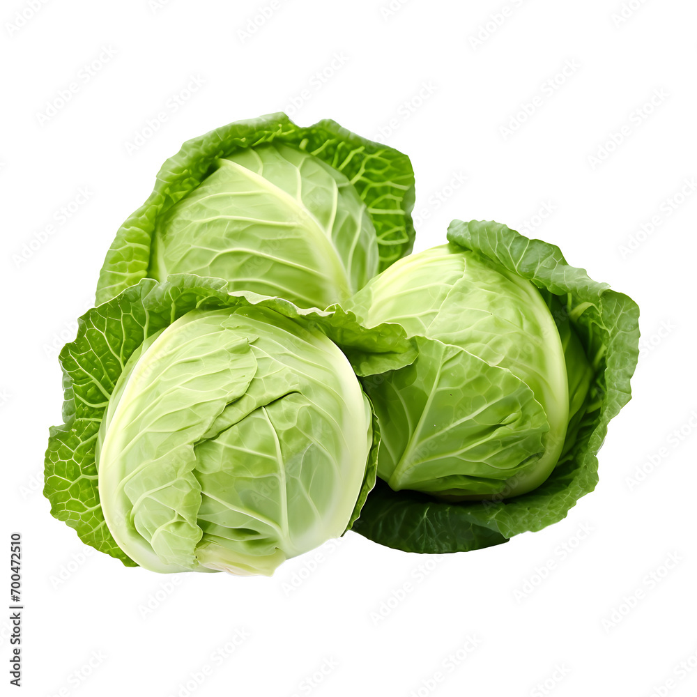 a head of cabbage with leaves - obrazy, fototapety, plakaty 