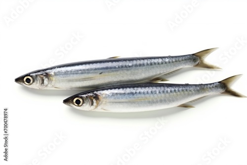Nice shape of Iwashi sardines isolated on white.