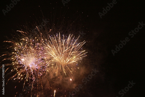 fireworks in the sky