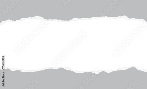 gray torn paper frame decoration flat illustration vector