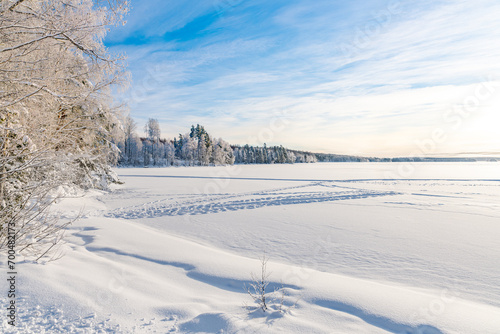 Swedish winter scene with ice, snow and parts of a lake and birch trees. photo