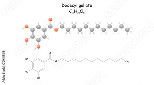 Stylized molecule model/structural formula of dodecyl gallate. photo