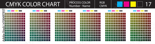 CMYK Process Color Chart 17