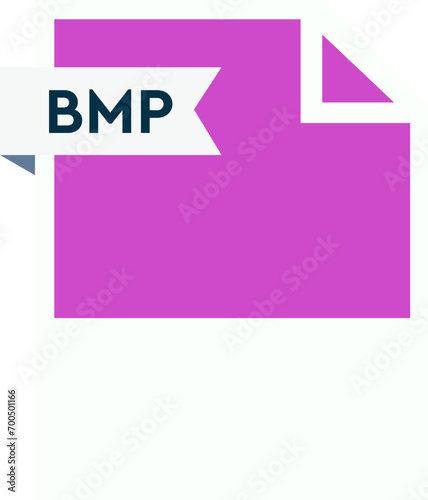 BMP File format icon  roe color fill