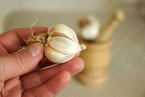 wooden garlic mortar and garlic standing next to it,