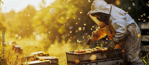 Beekeeper removing honeycomb from beehive Person in beekeeper suit taking honey from hive Farmer wearing bee suit working with honeycomb in apiary Beekeeping in countryside Organic farming photo