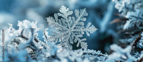 Macro shot from Snowflake Abstract winter background. Creative Banner. Copyspace image
